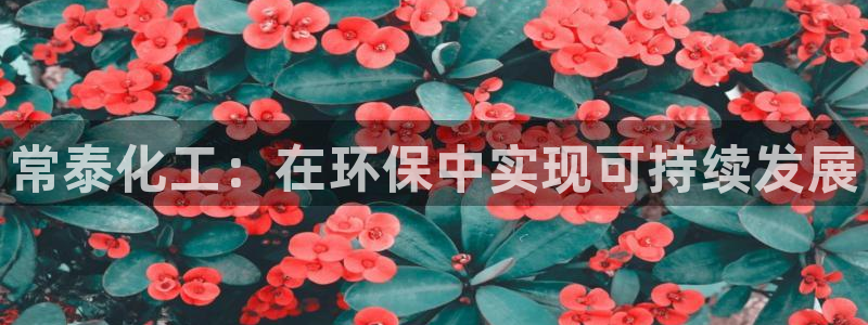 亿万先生mr008：常泰化工：在环保中实现可持续发展