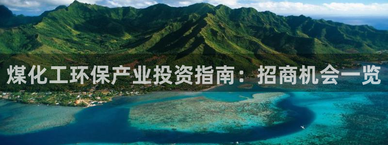 亿万先生现在的网址谁知道：煤化工环保产业投资指南：招商机会一览