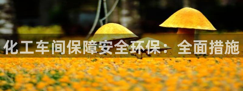 亿万先生手机版入口在哪：化工车间保障安全环保：全面措施