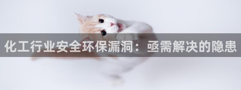 亿万首富手游：化工行业安全环保漏洞：亟需解决的隐患