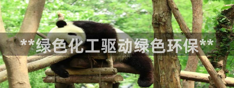 亿万先生mr008cc官网：**绿色化工驱动绿色环保**