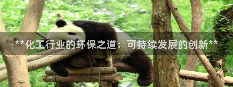 亿万网络科技有限公司ceo：**化工行业的环保之道：可持续发展的创新**