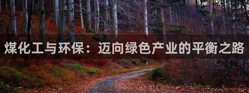 亿万先生mr01官网 - 亿万先生手机版入：煤化工与环保：迈向绿色产业的平衡之路
