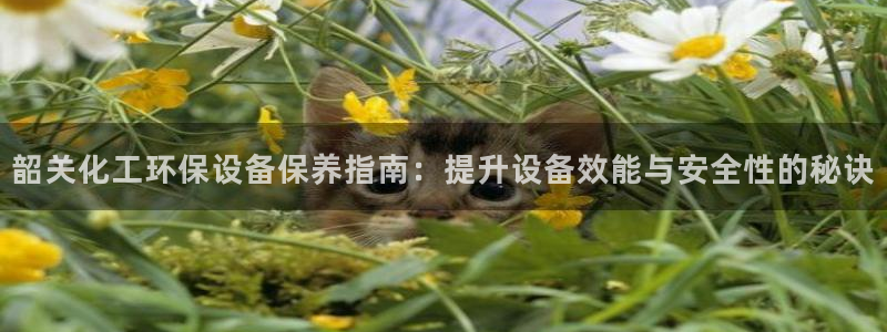 亿万国际平台是正规的吗安全吗：韶关化工环保设备保养指南：提升设备效能与安全性的秘诀