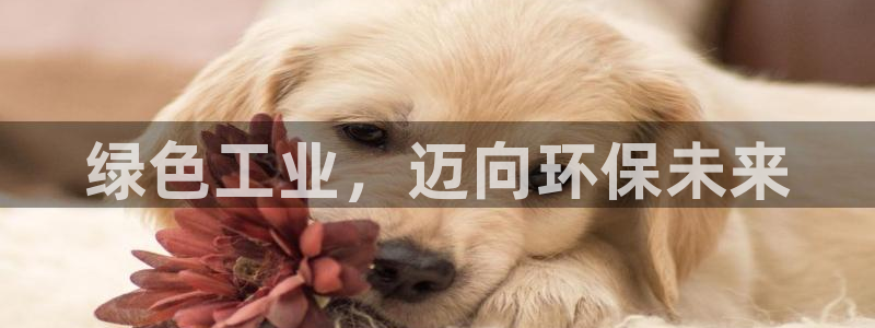 亿万先生手游下载官网：绿色工业，迈向环保未来