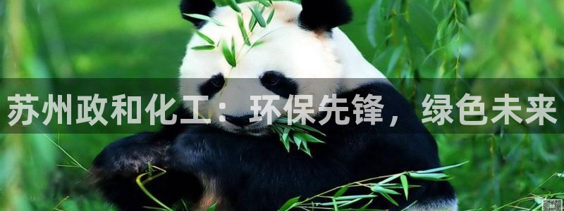 亿万购平台最新消息：苏州政和化工：环保先锋，绿色未来