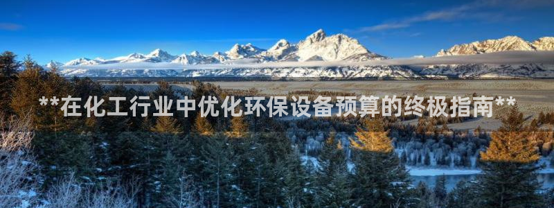 亿万先生 菲律宾：**在化工行业中优化环保设备预算的终极指南**