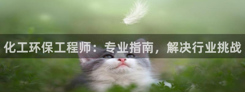 亿万的亿：化工环保工程师：专业指南，解决行业挑战