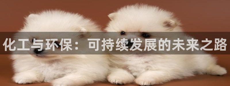 mr001亿万先生：化工与环保：可持续发展的未来之路