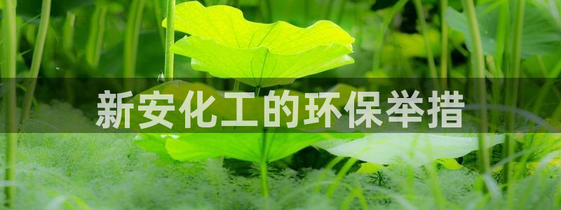 亿万网友在线实时为您解答问题：新安化工的环保举措