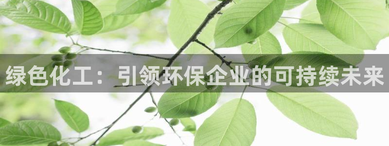 亿万解析：绿色化工：引领环保企业的可持续未来