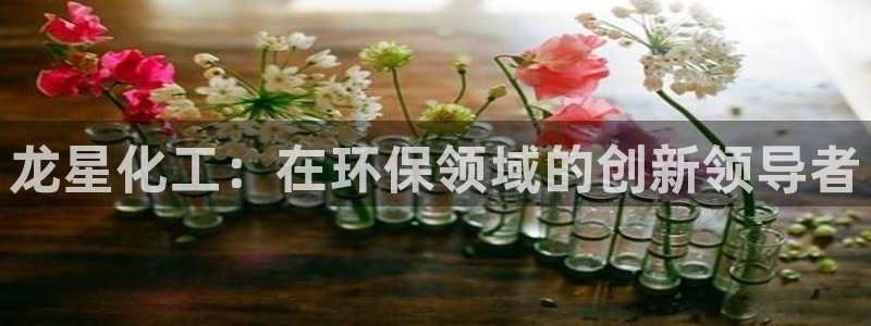 亿万先生客户端官网登录不上：龙星化工：在环保领域的创新领导者