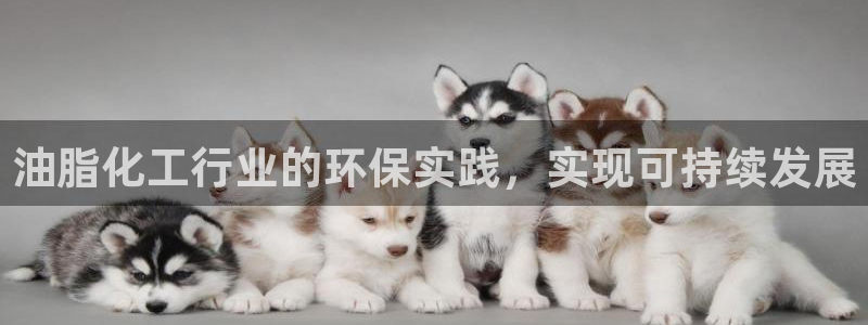 亿万先生mr008cc官网：油脂化工行业的环保实践，实现可持续发展