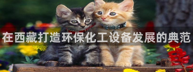 亿万财富网