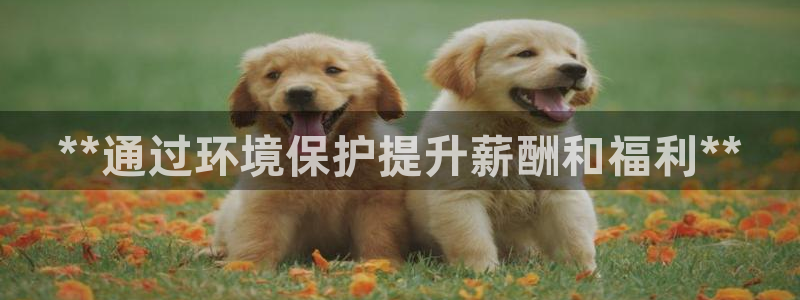 亿万billions：**通过环境保护提升薪酬和福利**