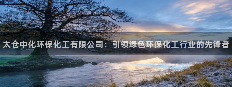 亿万先生客户端官网登录入口：太仓中化环保化工有限公司：引领绿色环保化工行业的先锋者