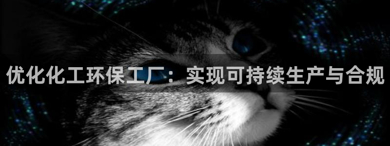 电影 亿万：优化化工环保工厂：实现可持续生产与合规