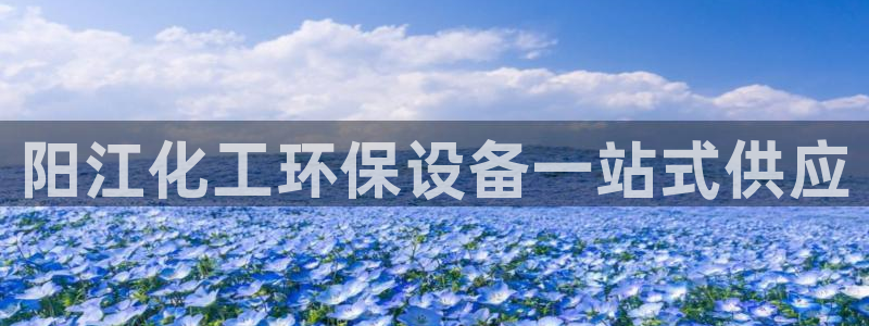 亿万先生官方网站客户端下载安装最新版：阳江化工环保设备一站式供应
