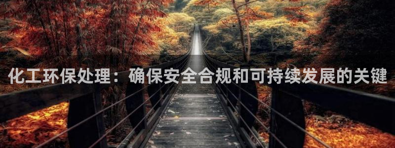 mr亿万先生：化工环保处理：确保安全合规和可持续发展的关键