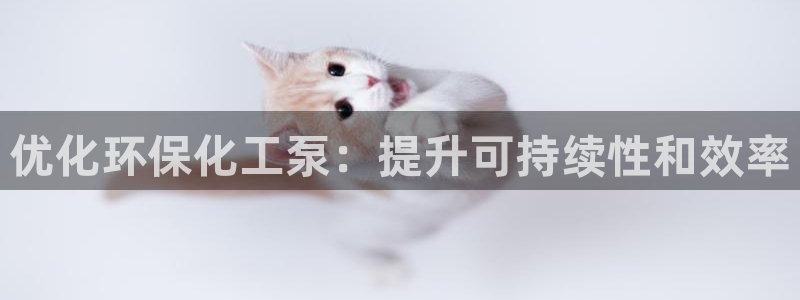 亿万客户端：优化环保化工泵：提升可持续性和效率