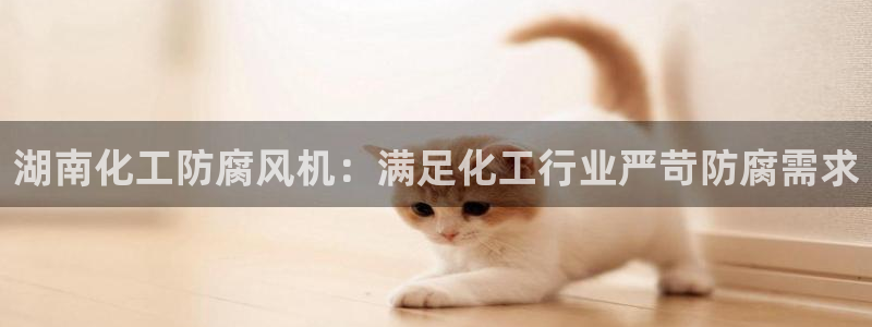 亿万国际游戏官网：湖南化工防腐风机：满足化工行业严苛防腐需求