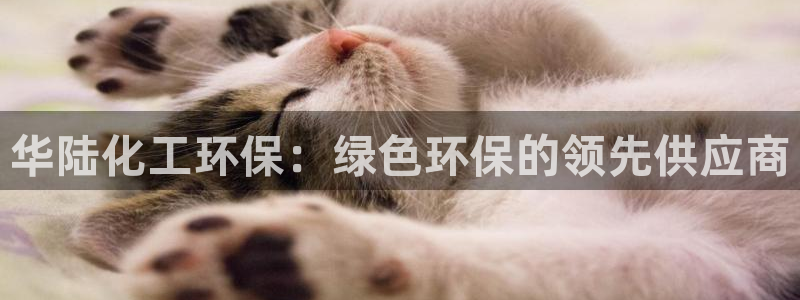 亿万先生网页在线客服：华陆化工环保：绿色环保的领先供应商
