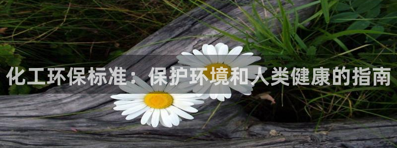 亿万先生MR - 亿万先生mr008cc：化工环保标准：保护环境和人类健康的指南