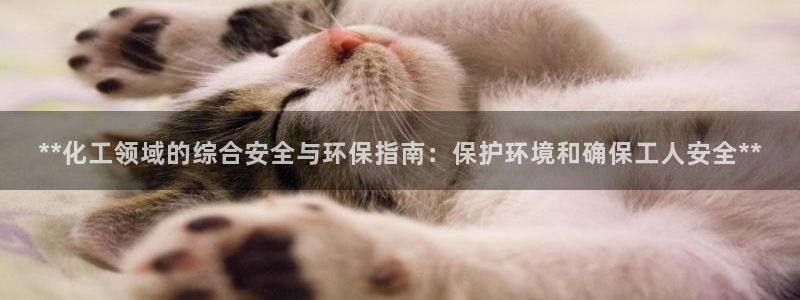 亿万同人字幕组微博的微博：**化工领域的综合安全与环保指南：保护环境和确保工人安全**