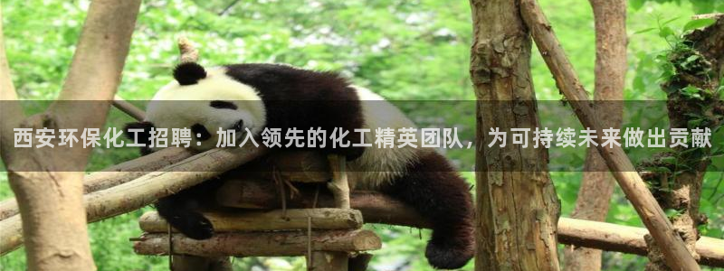 亿万乐购生活超市：西安环保化工招聘：加入领先的化工精英团队，为可持续未来做出贡献