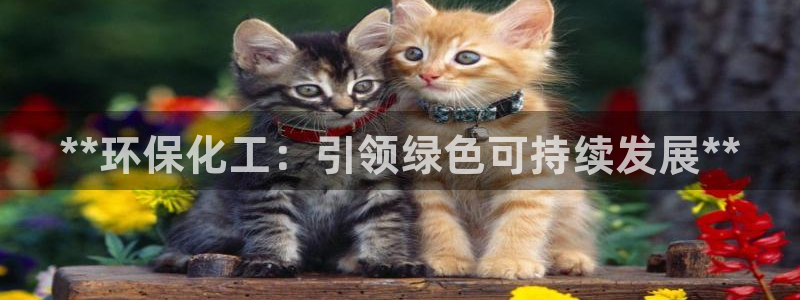 亿万先生客服联系方式查询：**环保化工：引领绿色可持续发展**