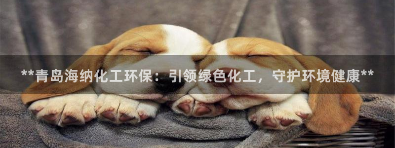亿万先生手机版入口在哪下载：**青岛海纳化工环保：引领绿色化工，守护环境健康**