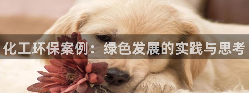 亿万先生客服联系方式：化工环保案例：绿色发展的实践与思考