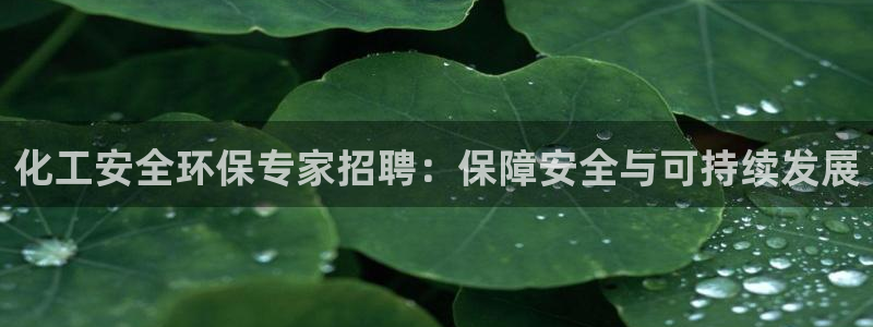 亿万先生是男是女：化工安全环保专家招聘：保障安全与可持续发展