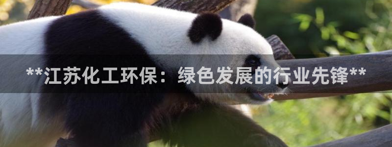 亿万剧集：**江苏化工环保：绿色发展的行业先锋**