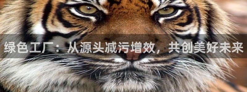 亿万先生app：绿色工厂：从源头减污增效，共创美好未来