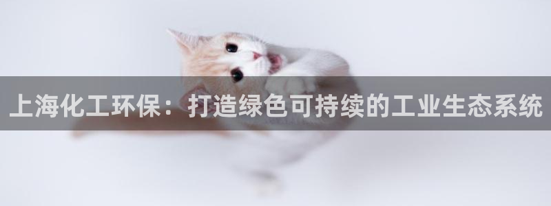 亿万百度百科官网：上海化工环保：打造绿色可持续的工业生态系统