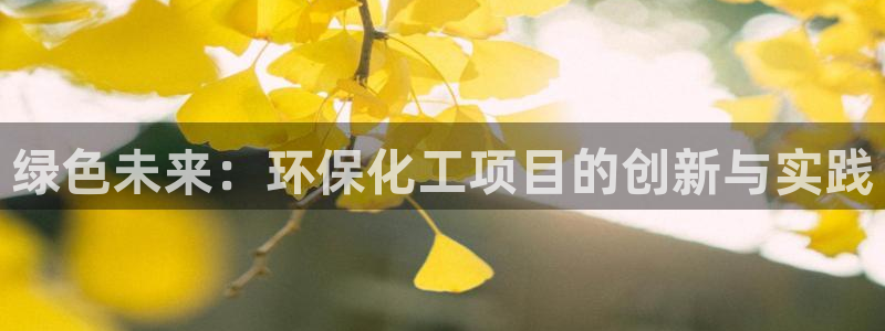 电影 亿万：绿色未来：环保化工项目的创新与实践