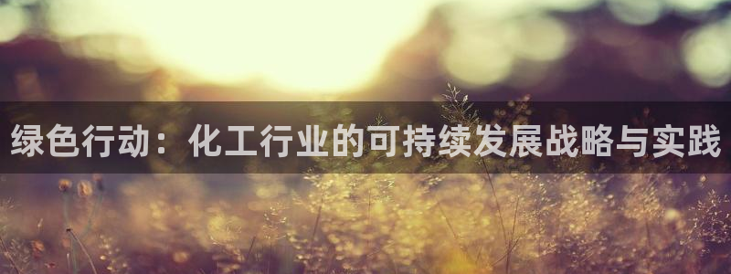 亿万笞人：绿色行动：化工行业的可持续发展战略与实践