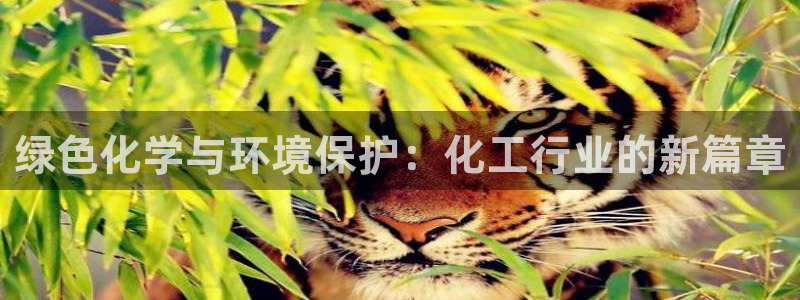 亿万先生换网址了吗知乎：绿色化学与环境保护：化工行业的新篇章