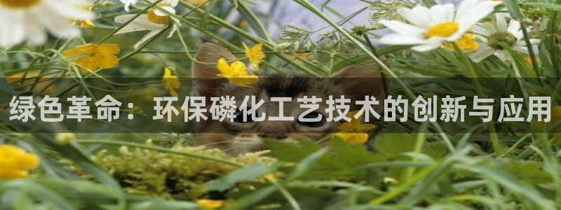 亿万城市手游：绿色革命：环保磷化工艺技术的创新与应用