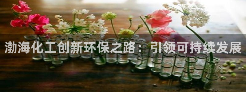 亿万先生网页版下载：渤海化工创新环保之路：引领可持续发展