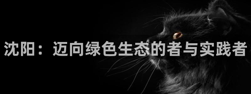 亿万先生合并：沈阳：迈向绿色生态的者与实践者