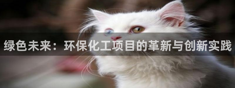 mr07亿万先生：绿色未来：环保化工项目的革新与创新实践