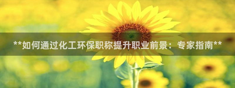 亿万国际游戏官网：**如何通过化工环保职称提升职业前景：专家指南**