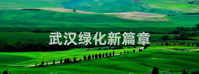 亿万先生换网址了吗：武汉绿化新篇章