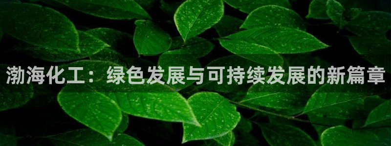 亿万先生官方网站客户端下载安装最新版：渤海化工：绿色发展与可持续发展的新篇章