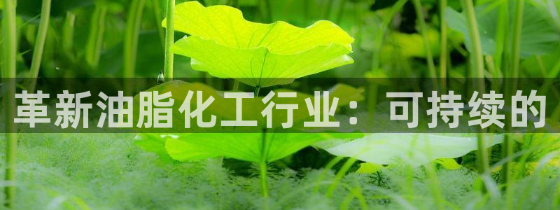 亿万购平台最新消息：革新油脂化工行业：可持续的