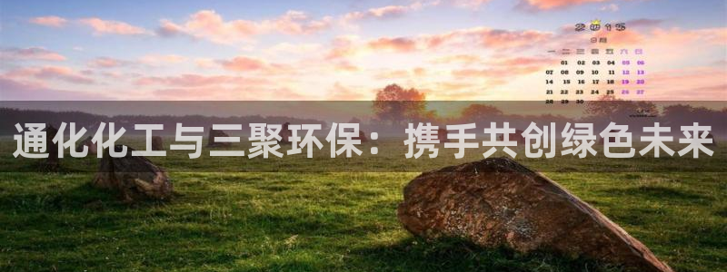 亿万先生客服联系：通化化工与三聚环保：携手共创绿色未来