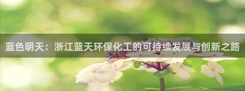 亿万网络科技有限公司：蓝色明天：浙江蓝天环保化工的可持续发展与创新之路