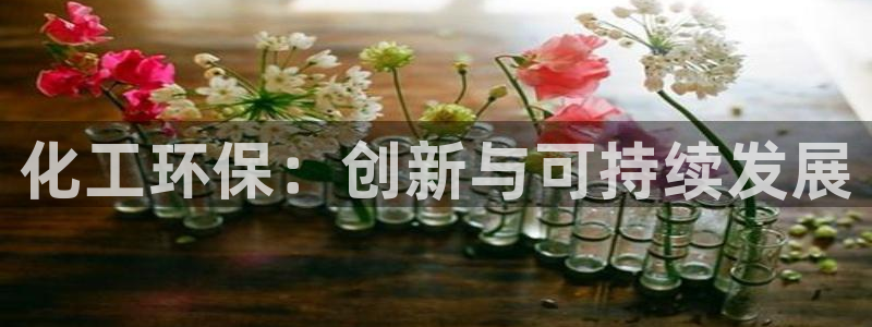 亿万先生网红：化工环保：创新与可持续发展